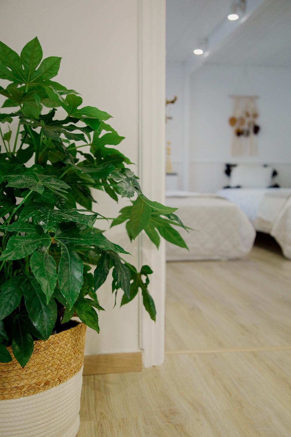 Yard- Family Retreat Apartment Corinth Ngoại thất bức ảnh