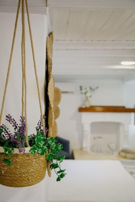 Yard- Family Retreat Apartment Corinth Ngoại thất bức ảnh